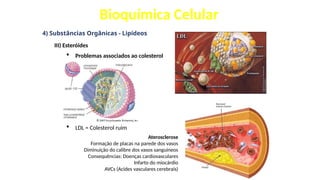 Bioquímica Celular
4) Substâncias Orgânicas - Lipídeos
III) Esteróides
 Problemas associados ao colesterol
 LDL = Colesterol ruim
Aterosclerose
Formação de placas na parede dos vasos
Diminuição do calibre dos vasos sanguíneos
Consequências: Doenças cardiovasculares
Infarto do miocárdio
AVCs (Acides vasculares cerebrais)
 