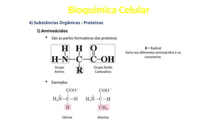 Bioquímica Celular
4) Substâncias Orgânicas - Proteínas
I) Aminoácidos
 São as partes formadoras das proteínas
 Exemplos
Grupo
Amino
Grupo Ácido
Carboxílico
R = Radical
Varia nos diferentes aminoácidos e os
caracteriza.
Glicina Alanina
 