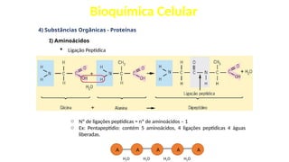 Bioquímica Celular
4) Substâncias Orgânicas - Proteínas
I) Aminoácidos
 Ligação Peptídica
o Nº de ligações peptídicas = nº de aminoácidos – 1
o Ex: Pentapeptídio: contém 5 aminoácidos, 4 ligações peptídicas 4 águas
liberadas.
A A A A A
H2O H2O H2O H2O
 