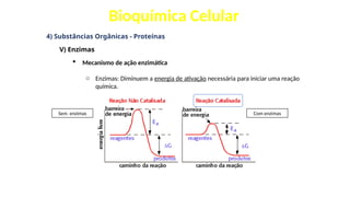Bioquímica Celular
4) Substâncias Orgânicas - Proteínas
V) Enzimas
 Mecanismo de ação enzimática
o Enzimas: Diminuem a energia de ativação necessária para iniciar uma reação
química.
Com enzimas
Sem enzimas
 