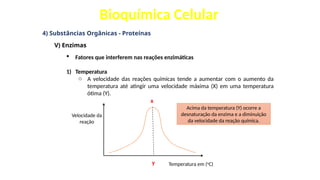 Bioquímica Celular
4) Substâncias Orgânicas - Proteínas
V) Enzimas
 Fatores que interferem nas reações enzimáticas
1) Temperatura
o A velocidade das reações químicas tende a aumentar com o aumento da
temperatura até atingir uma velocidade máxima (X) em uma temperatura
ótima (Y).
x
y
Velocidade da
reação
Temperatura em (o
C)
Acima da temperatura (Y) ocorre a
desnaturação da enzima e a diminuição
da velocidade da reação química.
 