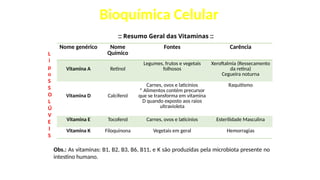 Bioquímica Celular
:: Resumo Geral das Vitaminas ::
Nome genérico Nome
Químico
Fontes Carência
Vitamina A Retinol
Legumes, frutos e vegetais
folhosos
Xeroftalmia (Ressecamento
da retina)
Cegueira noturna
Vitamina D Calciferol
Carnes, ovos e laticínios
* Alimentos contém precursor
que se transforma em vitamina
D quando exposto aos raios
ultravioleta
Raquitismo
Vitamina E Tocoferol Carnes, ovos e laticínios Esterilidade Masculina
Vitamina K Filoquinona Vegetais em geral Hemorragias
L
i
p
o
S
S
O
L
Ú
V
E
I
S
Obs.: As vitaminas: B1, B2, B3, B6, B11, e K são produzidas pela microbiota presente no
intestino humano.
 