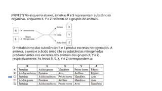 Questão 4
(FUVEST) No esquema abaixo, as letras R e S representam substâncias
orgânicas, enquanto X, Y e Z referem-se a grupos de animais.
O metabolismo das substâncias R e S produz excretas nitrogenados. A
amônia, a ureia e o ácido úrico são as substâncias nitrogenadas
predominantes nos excretas dos animais dos grupos X, Y e Z,
respectivamente. As letras R, S, X, Y e Z correspondem a:
 