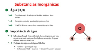 • Hidrólise = quebra pela água
• Ex: Sacarose + H2O + Sacarase  Glicose + Frutose + sacarase
Substâncias Inorgânicas
Água (H2O)
É obtida através de alimentos líquidos, sólidos e água
potável.
Composto em maior quantidade nos seres vivos
75 a 80% do peso corporal na maioria dos seres vivos
Importância da água
Solvente universal: Essa molécula é altamente polar e, por isso,
possui um grande poder de dissolução de compostos iônicos e
polares, podendo separá-los.
Participa das reações químicas de hidrólise
 