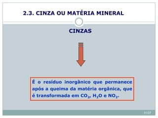 2.3. CINZA OU MATÉRIA MINERAL
É o resíduo inorgânico que permanece
após a queima da matéria orgânica, que
é transformada em CO2, H2O e NO2.
CINZAS
11:07
 