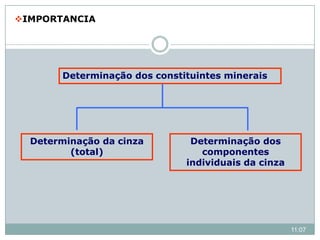 Determinação dos constituintes minerais
Determinação da cinza
(total)
Determinação dos
componentes
individuais da cinza
IMPORTANCIA
11:07
 