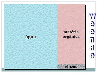 água
matéria
seca
matéria
orgânica
cinzas
 