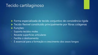 Tecido cartilaginoso
 Forma especializada de tecido conjuntivo de consistência rígida
 Tecido flexível constituído principalmente por fibras colágenas
 Funções:
• Suporta tecidos moles
• Reveste superfícies articulares
• Facilita o deslizamento
• É essencial para a formação e crescimento dos ossos longos
 