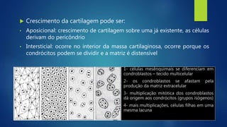  Crescimento da cartilagem pode ser:
• Aposicional: crescimento de cartilagem sobre uma já existente, as células
derivam do pericôndrio
• Intersticial: ocorre no interior da massa cartilaginosa, ocorre porque os
condrócitos podem se dividir e a matriz é distensível
 