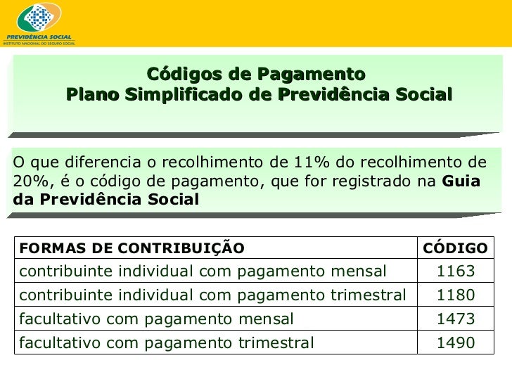 Contribuições INSS Professor Leandro