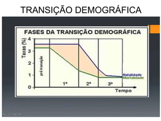 TRANSIÇÃO DEMOGRÁFICA
 
