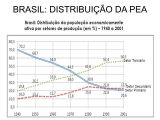 BRASIL: DISTRIBUIÇÃO DA PEA
 