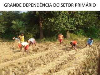 GRANDE DEPENDÊNCIA DO SETOR PRIMÁRIO
 
