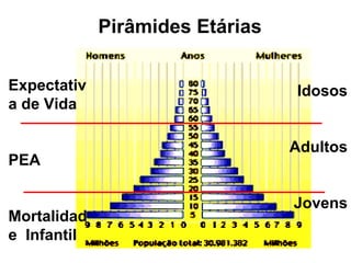 Pirâmides Etárias
Idosos
Adultos
Jovens
Expectativ
a de Vida
PEA
Mortalidad
e Infantil
 