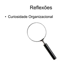 Reflexões Curiosidade Organizacional 