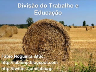 Divisão do Trabalho e
             Educação




Fábio Nogueira, MSc.
http://fabionp.blogspot.com
http://twitter.com/fabionp
 