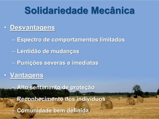 Solidariedade Mecânica
• Desvantagens
  – Espectro de comportamentos limitados

  – Lentidão de mudanças

  – Punições severas e imediatas

• Vantagens
  – Alto sentimento de proteção

  – Reconhecimento dos indivíduos

  – Comunidade bem definida
 