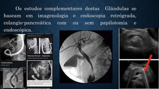 Os estudos complementares destas Glândulas se
baseam em imagenologia e endoscopia retrógrada,
colangio-pancreática com ou sem papilotomia e
endoscópica.
 