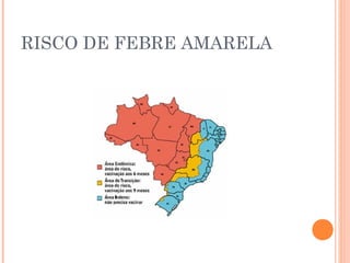 RISCO DE FEBRE AMARELA
 