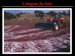 Calagem do Solo
 