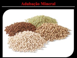 Adubação Mineral
 