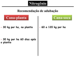 Recomendação de adubação
Cana-socaCana-planta
- 30 kg por ha, no plantio
- 30 kg por ha 60 dias após
o plantio
- 60 a 120 kg por ha
Nitrogênio
 