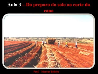 Aula 3 – Do preparo do solo ao corte da
cana
Prof. Marcus Belloto
 