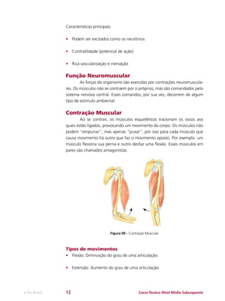 Características principais:
•	 Podem ser excitados como os neurônios
•	 Contratilidade (potencial de ação)
•	 Rica vascularização e inervação

Função Neuromuscular
	
As forças do organismo são exercidas por contrações neuromusculares. Os músculos não se contraem por si próprios, mas são comandados pelo
sistema nervoso central. Esses comandos, por sua vez, decorrem de algum
tipo de estimulo ambiental.

Contração Muscular
	
Ao se contrair, os músculos esqueléticos tracionam os ossos aos
quais estão ligados, provocando um movimento do corpo. Os músculos não
podem “empurrar”, mas apenas “puxar”, por isso para cada músculo que
causa movimento há outro que faz o movimento oposto. Por exemplo: um
músculo flexiona sua perna e outro desfaz uma flexão. Esses músculos em
pares são chamados antagonistas.

Figura 09 - Contração Muscular

Tipos de movimentos
•	 Flexão: Diminuição do grau de uma articulação.
•	 Extensão: Aumento do grau de uma articulação.

e-Tec Brasil

12

Curso Técnico Nível Médio Subsequente

 