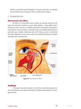 dando a impressão de profundidade ou terceira dimensão. As pessoas
com estrabismo não conseguem fazer a fusão dessas imagens.
•	 Percepção das cores

Movimentos dos Olhos
	
Os olhos se movimentam para o objeto de atenção através de três
pares de músculos oculares os quais estão ligados a cada globo ocular.
Quando se fixa a vista em um objeto acontecem movimentos voluntários e
involuntários. Os movimentos involuntários são comandados pelo cérebro e
permitem que o objeto fixado seja visto com nitidez, já que o movimento
voluntário depende, como o nome indica, da vontade da pessoa em diração
do objeto que ela deseja fixar.

Figura 13 - Movimento dos Olhos

Audição
	
‘A função do ouvido é captar e converter as ondas de pressão do ar
em sinais elétricos, que são transmitidos ao cérebro para produzir as sensações sonoras.

Fisiologia - Parte I

17

e-Tec Brasil

 