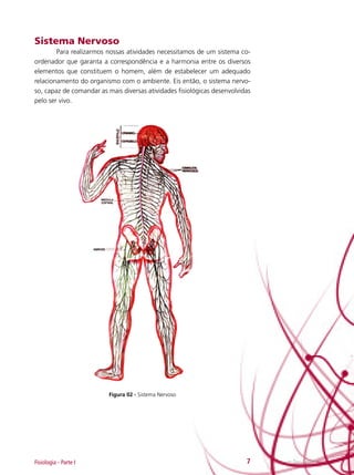 Sistema Nervoso
	
Para realizarmos nossas atividades necessitamos de um sistema coordenador que garanta a correspondência e a harmonia entre os diversos
elementos que constituem o homem, além de estabelecer um adequado
relacionamento do organismo com o ambiente. Eis então, o sistema nervoso, capaz de comandar as mais diversas atividades fisiológicas desenvolvidas
pelo ser vivo.

Figura 02 - Sistema Nervoso

Fisiologia - Parte I

7

e-Tec Brasil

 