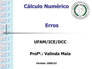Cálculo Numérico
Erros
Período: 2008/01
UFAM/ICE/DCC
Profª.: Valinda Maia
 