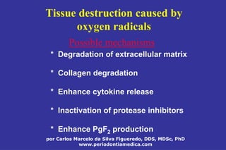 por Carlos Marcelo da Silva Figueredo, DDS, MDSc, PhD
www.periodontiamedica.com
Tissue destruction caused by
oxygen radicals
Possible mechanisms
* Degradation of extracellular matrix
* Collagen degradation
* Enhance cytokine release
* Inactivation of protease inhibitors
* Enhance PgF2 production
 