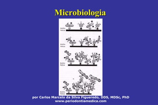 por Carlos Marcelo da Silva Figueredo, DDS, MDSc, PhD
www.periodontiamedica.com
MicrobiologiaMicrobiologia
 