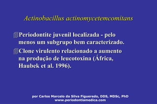 por Carlos Marcelo da Silva Figueredo, DDS, MDSc, PhD
www.periodontiamedica.com
Actinobacillus actinomycetemcomitansActinobacillus actinomycetemcomitans
Periodontite juvenil localizadaPeriodontite juvenil localizada -- pelopelo
menos um subgrupo bem caracterizado.menos um subgrupo bem caracterizado.
Clone virulento relacionado a aumentoClone virulento relacionado a aumento
na produna produçção deão de leucotoxinaleucotoxina ((ÁÁfrica,frica,
HaubekHaubek et al. 1996).et al. 1996).
 