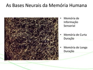 • Memória de
Informação
Sensorial
• Memória de Curta
Duração
• Memória de Longa
Duração
As Bases Neurais da Memória Humana
 