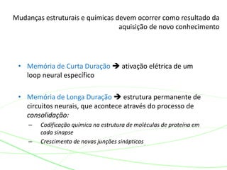 Mudanças estruturais e químicas devem ocorrer como resultado da
aquisição de novo conhecimento
• Memória de Curta Duração  ativação elétrica de um
loop neural específico
• Memória de Longa Duração  estrutura permanente de
circuitos neurais, que acontece através do processo de
consolidação:
– Codificação química na estrutura de moléculas de proteína em
cada sinapse
– Crescimento de novas junções sinápticas
 