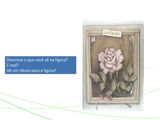 Descreva o que você vê na figura?
É real?
Dê um rótulo para a figura?
 