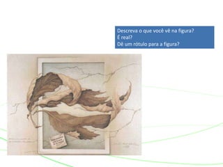 Descreva o que você vê na figura?
É real?
Dê um rótulo para a figura?
 