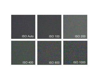 Ao fotografar sem flash em iluminação insuficiente, a velocidade de disparo lenta torna difícil evitar a trepidação da câmera e borrar o objeto em movimentoO aumento da sensibilidade minimiza os borrõesISO100ISO800