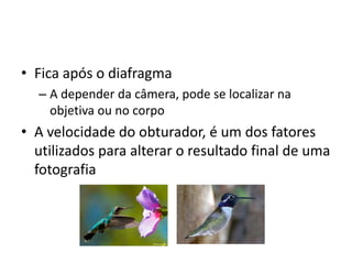 Fica após o diafragmaA depender da câmera, pode se localizar na objetiva ou no corpoA velocidade do obturador, é um dos fatores utilizados para alterar o resultado final de uma fotografia