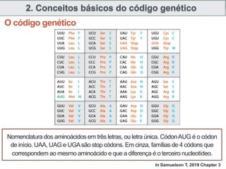Gene Structure and Function: Molecular Genetics in Medicine | PDF