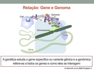 Gene Structure and Function: Molecular Genetics in Medicine | PDF