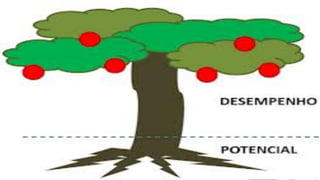 VÍDEO – O DESORGANIZADO
 