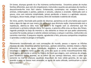 Em breve, alcançou grande rio e fez inúmeros conhecimentos.  Encontrou peixes de muitas famílias diferentes, que com ele simpatizaram, instruindo-o quanto aos percalços da marcha e descortinando-lhe mais fácil roteiro. Embevecido, contemplou nas margens homens e animais, embarcações e pontes, palácios e veículos, cabanas e arvoredo. Habituado com o pouco, vivia com extrema simplicidade, jamais perdendo a leveza e a agilidade naturais. Conseguiu, desse modo, atingir o oceano, ébrio de novidade e sedento de estudo. De início, porém, fascinado pela paixão de observar, aproximou-se de uma baleia para quem toda a água do lago em que vivera não seria mais que diminuta ração; impressionado com o espetáculo, abeirou-se dela mais que devia e foi tragado com os elementos que lhe constituíam a primeira refeição diária. Em apuros, o peixinho aflito orou ao Deus dos Peixes, rogando proteção no bojo do monstro e, não obstante as trevas em que pedia salvamento, sua prece foi ouvida, porque o valente cetáceo começou a soluçar e vomitou, restituindo-o às correntes marinhas. O pequeno viajante, agradecido e feliz, procurou companhias simpáticas e aprendeu a evitar os perigos e tentações. Plenamente transformado em suas concepções do mundo, passou a reparar as infinitas riquezas da vida. Encontrou plantas luminosas, animais estranhos, estrelas móveis e flores diferentes no seio das águas. Sobretudo, descobriu a existência de muitos peixinhos, estudiosos e delgados tanto quanto ele, junto dos quais se sentia maravilhosamente feliz. Vivia, agora, sorridente e calmo, no Palácio de Coral que elegera, com centenas de amigos, para residência ditosa, quando, ao se referir ao seu começo laborioso, veio a saber que somente no mar as criaturas aquáticas dispunham de mais sólida garantia, de vez que, quando o estio se fizesse mais arrasador, as águas de outra altitude, continuariam a correr para o oceano. 