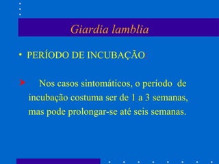 Giardia lamblia PERÍODO DE INCUBAÇÃO : Nos casos sintomáticos, o período  de incubação costuma ser de 1 a 3 semanas, mas pode prolongar-se até seis semanas. 