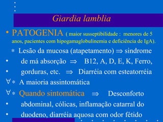 Giardia lamblia PATOGENIA  ( maior susseptibilidade :  menores de 5 anos, pacientes com hipogamaglobulinemia e deficiência de IgA).    Lesão da mucosa (atapetamento)    sindrome de má absorção     B12, A, D, E, K, Ferro, gorduras, etc.     Diarréia com esteatorréia    A maioria assintomática    Quando sintomática      Desconforto abdominal, cólicas, inflamação catarral do duodeno, diarréia aquosa com odor fétido  
