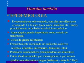 Giardia lamblia EPIDEMIOLOGIA    É encontrada em todo o mundo, com alta prevalência em  crianças de 1 a 12 anos (com maior incidência até 3 anos), principalmente as de baixo nível sócio-econômico;    Água adquire grande importância como veículo de transmissão;    Cistos de grande resistência;    Frequentemente encontrada em ambientes coletivos  (creches, orfanatos, enfermarias, domicílios, etc.);    Portadores assintomáticos (manipuladores de alimentos);    Cistos são disseminados por ventos (poeira) e por moscas (podem veicular cistos a longas distâncias – mais de 5 Km);  