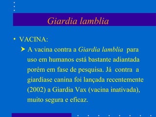 Giardia lamblia VACINA:     A vacina contra a  Giardia lamblia   para uso em humanos está bastante adiantada porém em fase de pesquisa. Já  contra  a giardíase canina foi lançada recentemente (2002) a Giardia Vax (vacina inativada), muito segura e eficaz. 