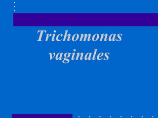 Trichomonas vaginales 