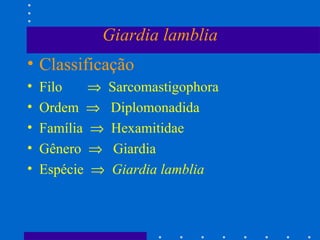 Giardia lamblia Classificação Filo     Sarcomastigophora Ordem     Diplomonadida Família     Hexamitidae Gênero     Giardia Espécie     Giardia lamblia 
